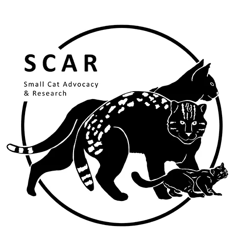 Scar
